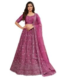 Graceful Essence Net Botanical Jaal Embroidered Semi-Stitched Lehenga Choli