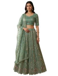Graceful Essence Twill Net Arch Embroidered Semi-Stitched Lehenga Choli