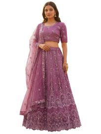 Graceful Essence Twill Net Arch Panel Semi-Stitched Lehenga Choli