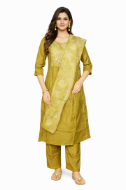 Graceful Muse Readymade Embroidered Salwar Kameez