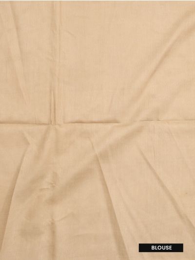 BlossomEase Art Tussar Butta Design Contrast Border Saree