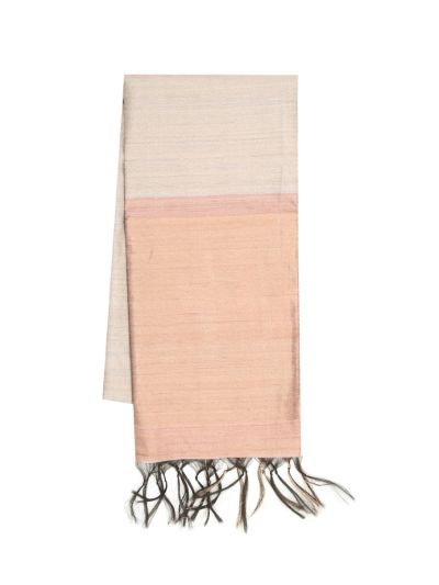 BlossomEase Art Dupion Plain with Contrast Border Saree