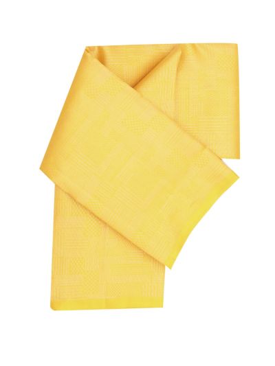 Gracecharm Elegant Pure Soft Silk Geometric Checked Design Borderless Saree