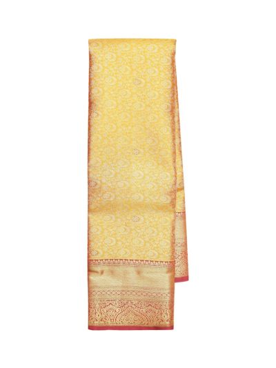 Gracecharm Tissue Soft Silk Floral Vine Jaal with Paisley Pallu Saree