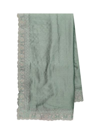 BlossomEase Sage Green George Elegant Stone Work with Fancy Border Saree