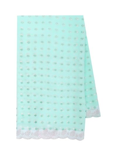 BlossomEase Mint Green George Elegant Stone Work with Fancy Border Saree