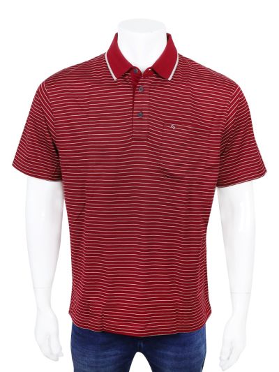 Classic Polo Men’s Premium Cotton Collar Half Sleeve Casual T-Shirt