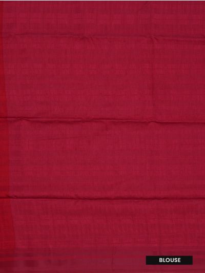 BlossomEase Tussar Silk Embroidery Work with Subtle Border Saree