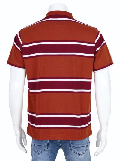 Classic Polo Men’s Premium Cotton Collar Half Sleeve Casual T-Shirt