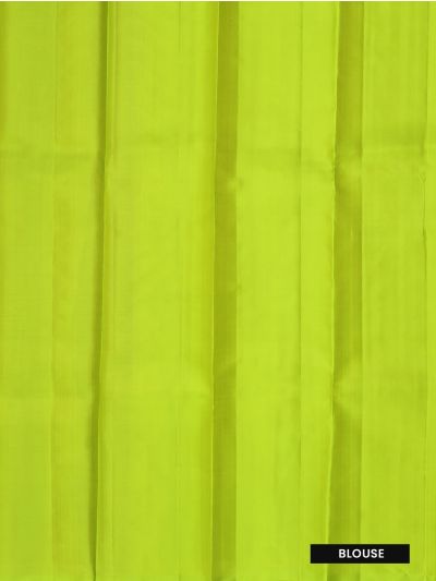 Gracecharm Elegant Striped Design with Borderless Saree
