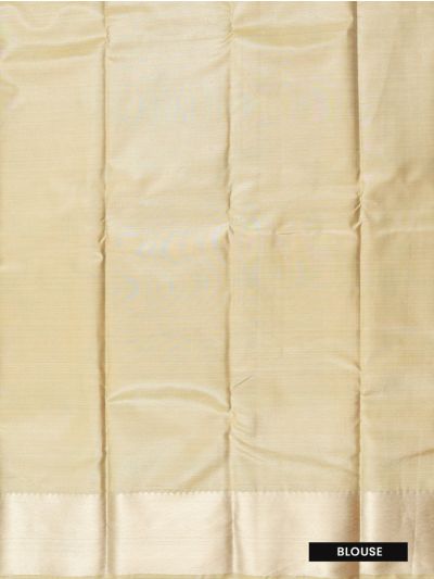 Gracecharm Art Soft Silk Frangipani Floral Jaal with Broad Border Saree