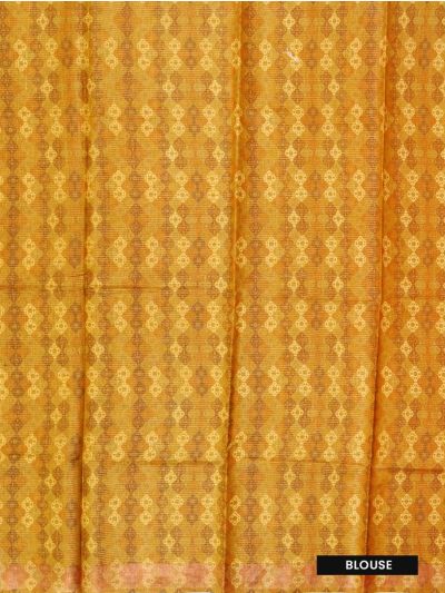 Graceful Essence Tussar Silk Diagonal Geometric Stripe Print Border Saree