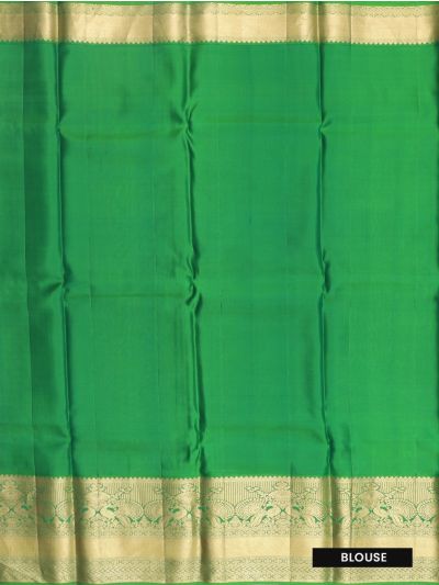Gracecharm Paisley Floral Jaal Peacock Zari Border Silk Saree