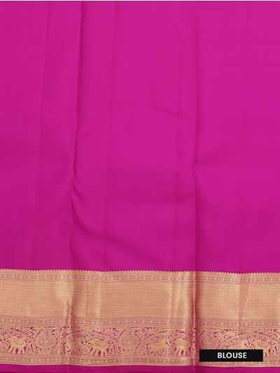 Gracecharm Pure Silk Floral Medallion Checks Elephant Paisley Zari Border Saree