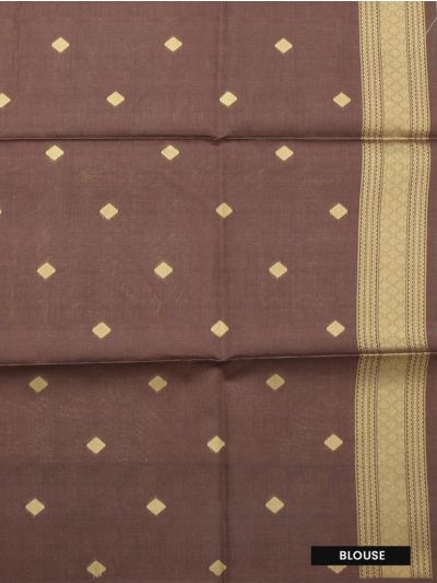 Gracecharm Art Dupion Floral Grid Butta Paisley Border Saree