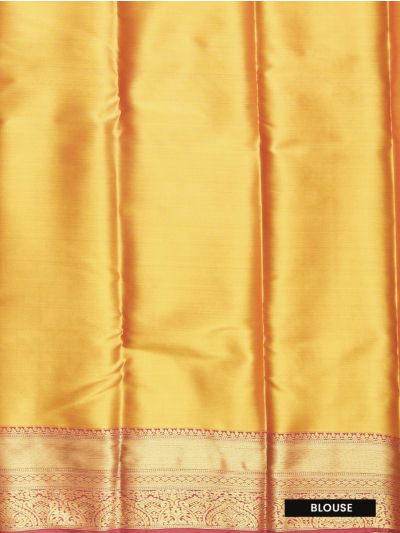 Gracecharm Tissue Soft Silk Floral Vine Jaal with Paisley Pallu Saree