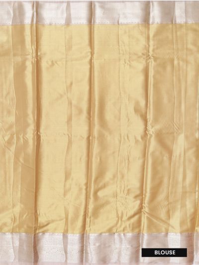 Gracecharm Tissue Soft Silk Floral Jaal Motif with Zari Border Saree