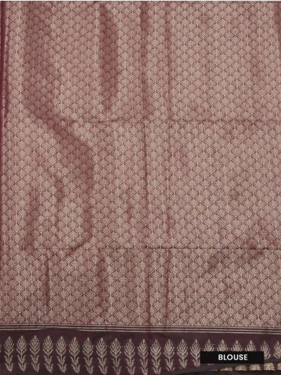 Gracecharm Kota Tussar Tropical Leaf Jaal Feather Border Trellis Pallu Saree