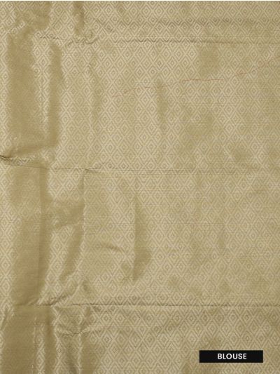 Gracecharm Kota Tussar Leaf Vein Chevron Jaal Diamond Trellis Pallu Saree