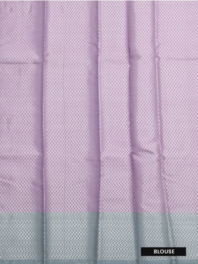 Gracecharm Fancy Semi Tissue Floral Triangle Butta Floral Jaal Zari Pallu Saree