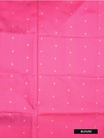 Gracecharm Semi Dupion Diamond Stripe Floral Paisley Border Saree