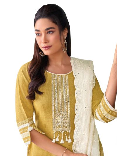 Graceful Muse Readymade Floral Arch Embroidered Salwar Kameez