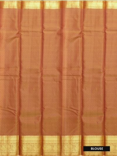 Gracecharm Gift Art Silk Bird Butta with Paisley Zari Pallu Saree