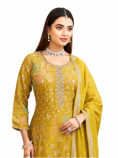 Graceful Muse Readymade Floral Geometric Round Neck Embroidered Salwar Kameez