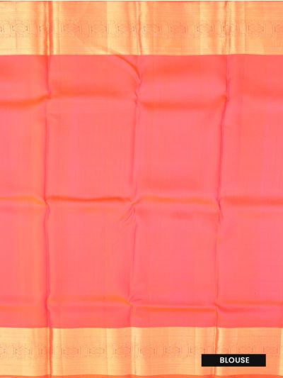 Gracecharm Tissue Silk floral jaal pattern woven in fine zari with geometric patterns Pallu Saree