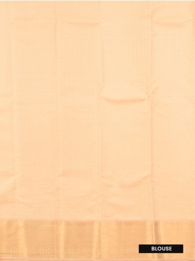 Gracecharm Tissue Silk floral jacquard jaal weave with beautifully structured zari border Saree
