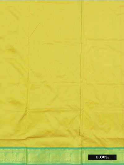 Traditional Arani lime green Silk Nine Yards Plain with Zari Border Saree