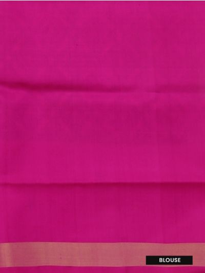 Pochampally Silk Diamond Ikat Jaal with Bird Floral Pallu Saree
