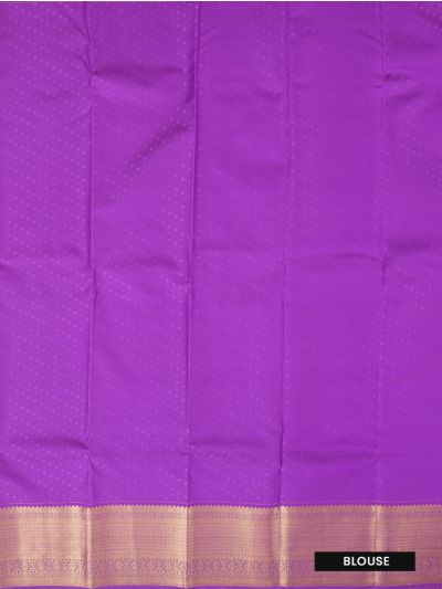 Gracecharm Floral And Leafy Creepers Woven Elegantly Zari Stripes Pallu Silk Saree