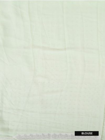 BlossomEase Pastel Green George Elegant Stone Work with Fancy Border Saree