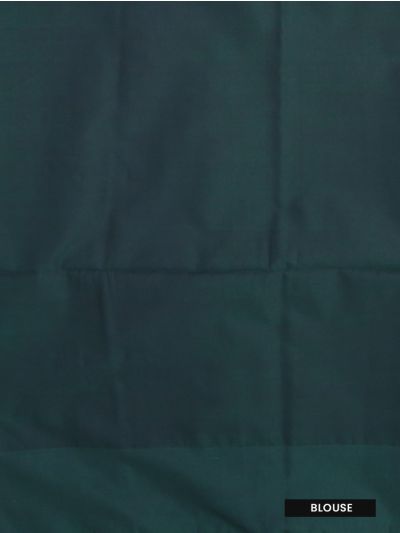 Gracecharm Art Soft Silk Floral Butta Scroll Jaal Pallu Saree