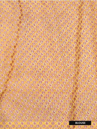Fancy Malmal Cotton floral layout across paisley elements border Saree