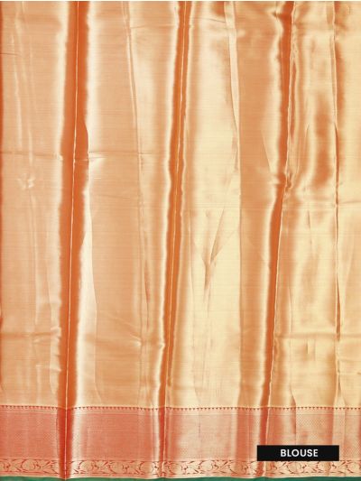 Gracecharm Tissue Grey Soft Silk Floral Leaf Motif Paisley Pallu Saree