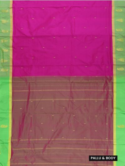 Traditional Nine Yards Silk Leaf Butta with Paisley Border Saree