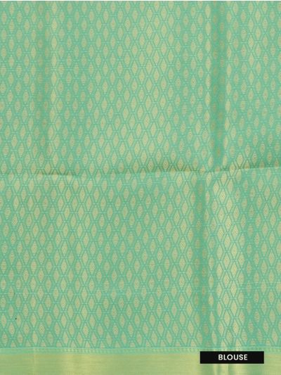 Gracecharm Fancy Semi Tissue Structural Leaf Vectors Pallu Saree

