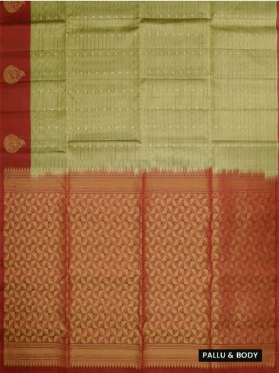 Gracecharm Elegant Pure Soft Silk Checked and Butta Design One Side Big Border Saree