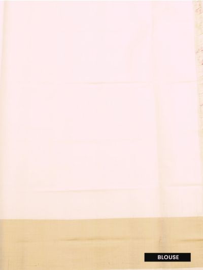 BlossomEase Pochampally Silk Ikat Design with Border Saree