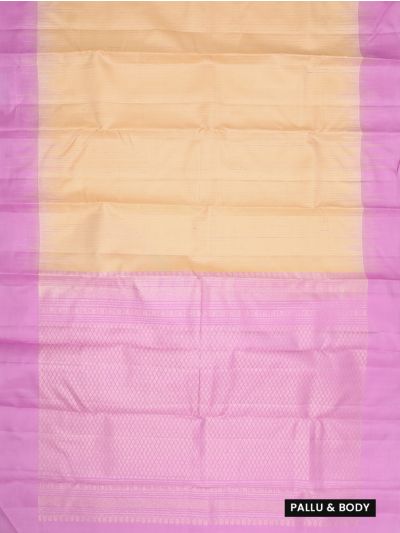 Gracecharm Elegant Striped Design with Contrast Border Saree