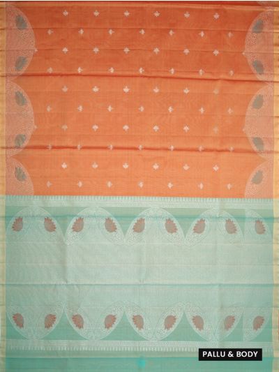 Kanmanie Soft Silk Small Butta with 5 Inch Turning Border Saree