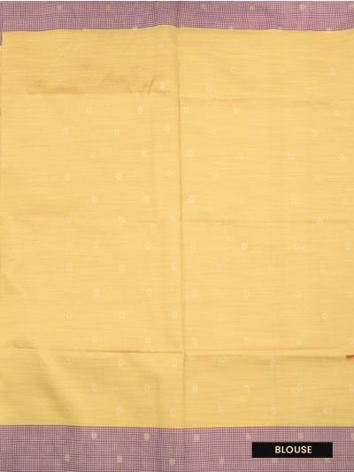 Gracecharm Semi Dupion Peacock Floral Medallion Grid Stripe Pallu Saree
