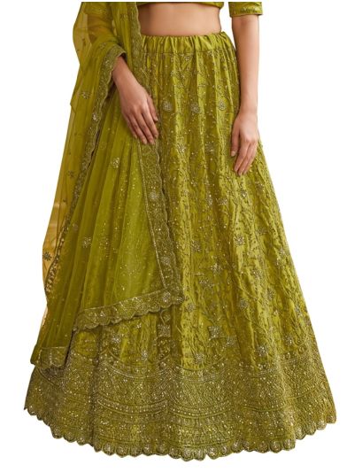 Graceful Essence Net Ornate Vine Embroidered Semi-Stitched Lehenga Choli