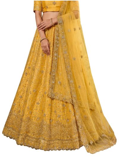 Graceful Essence Net Ornamental Jaal Semi-Stitched Lehenga Choli