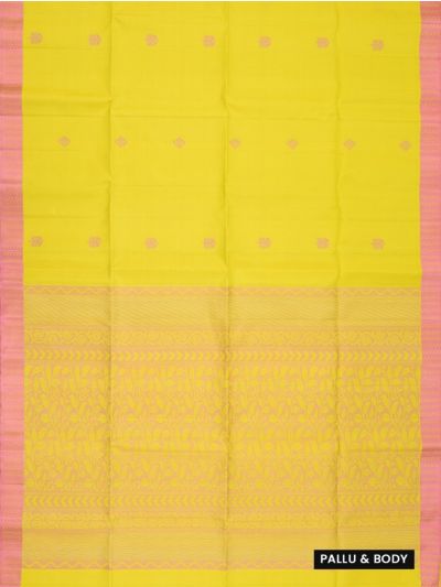 Gracecharm Pure Soft Silk Floral Butta with Leaf Jaal Pallu Saree