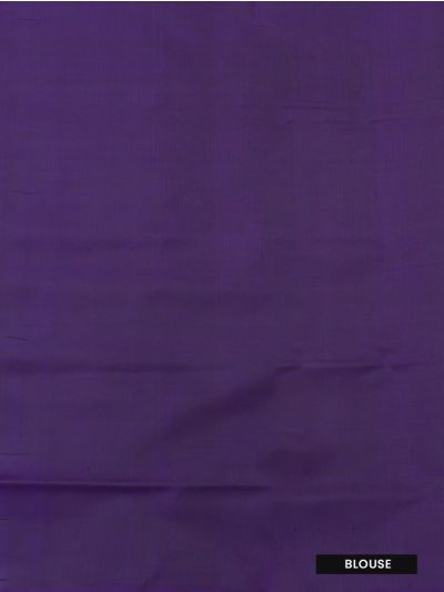Pochampally Silk Bird Motif with Geometric Ikat Pallu Saree