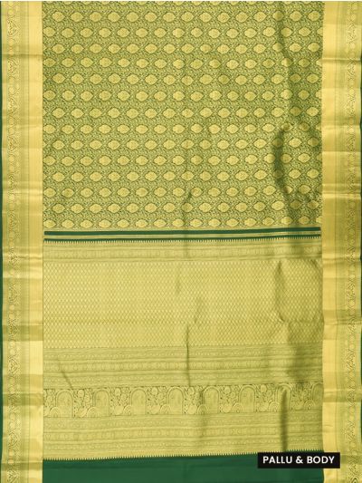 Gracecharm Pure Silk Floral Jaal with Diamond Brocade Pallu Saree