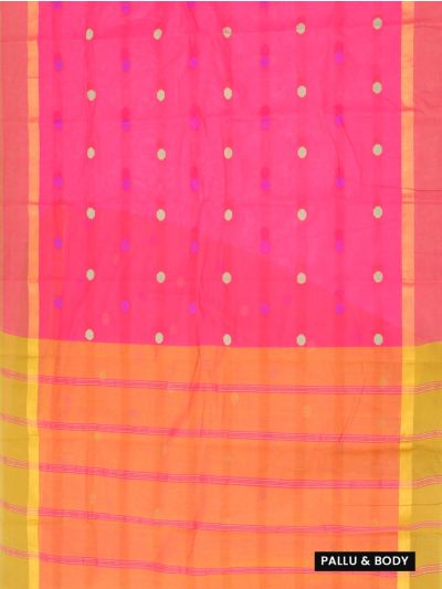 Gracecharm Kanchi Cotton Multicolour Butta Striped Pallu Saree
